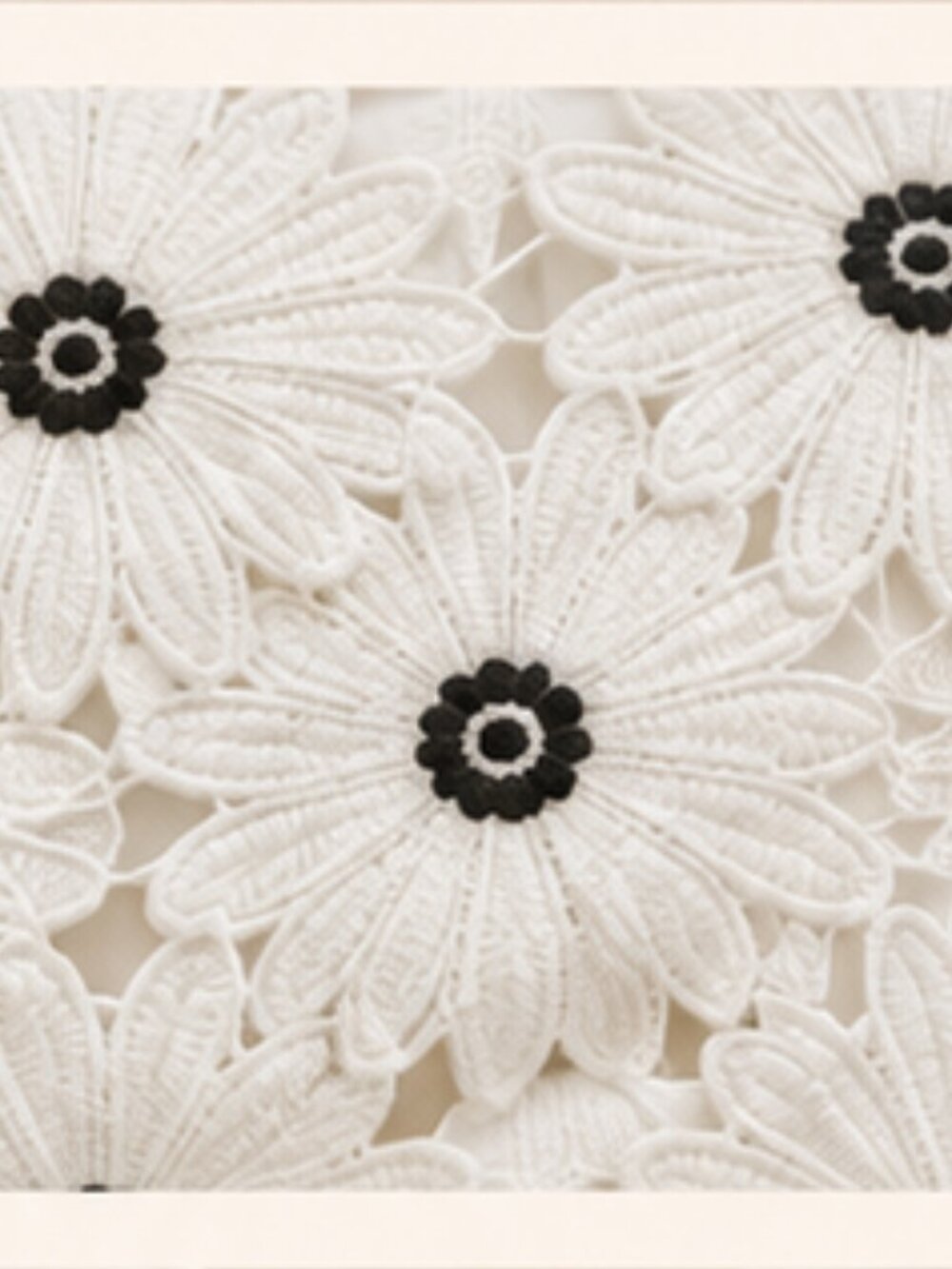 Daisy Embroidered Summer Crop Top White & Navy Coastal Floral XL Francesca's - Picture 6 of 7